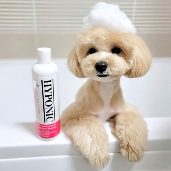 Sữa tắm cho chó cao cấp HYPONIC Hypoallergenic, dưỡng da và làm mượt lông cho mọi loại chó