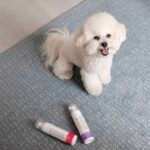 Bọt tắm khô cao cấp HYPONIC dành cho thú cưng, hương thơm tinh tế