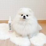 Xịt thơm dưỡng lông và ngăn ngừa lông rối HYPONIC dành cho thú cưng, hương tinh tế